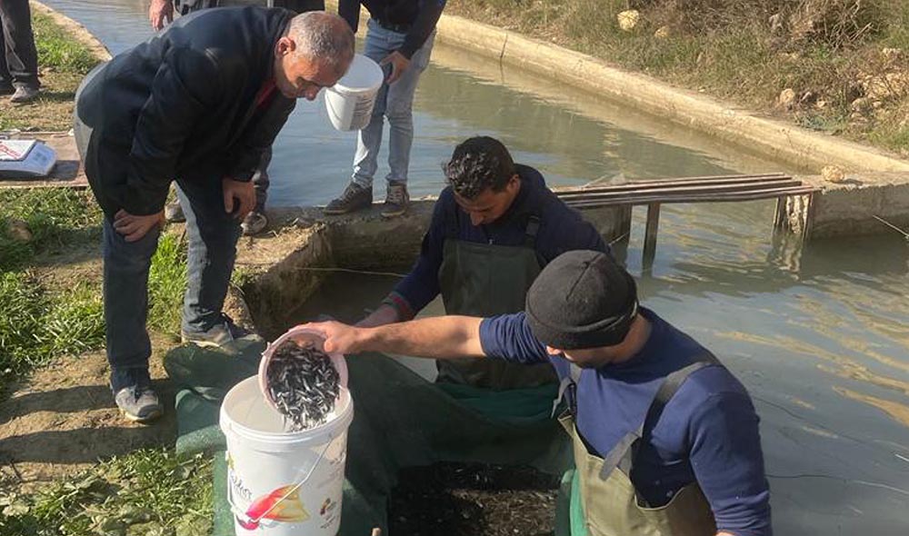 How Trout Fish Offspring are Transforming Communities in Hermel, Lebanon 
