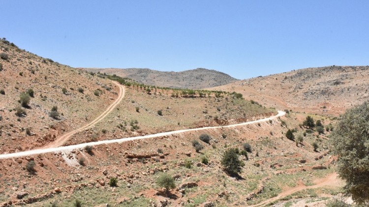 Road to Resilience in Lebanon: Transforming Arsal’s Agricultural Landscape