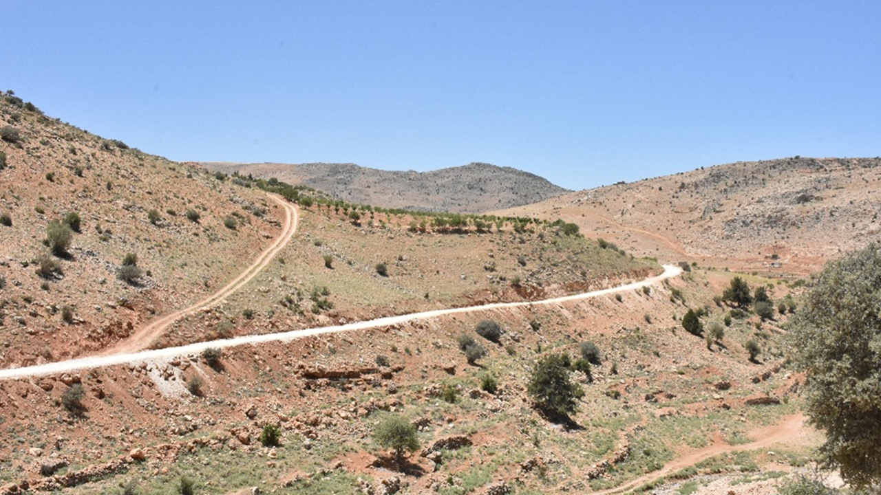 Road to Resilience in Lebanon: Transforming Arsal’s Agricultural Landscape